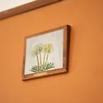 Panzió Maison Twentyfive Ischia