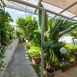 Maison Twentyfive Ischia