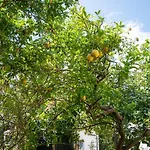 Maison Twentyfive Ischia