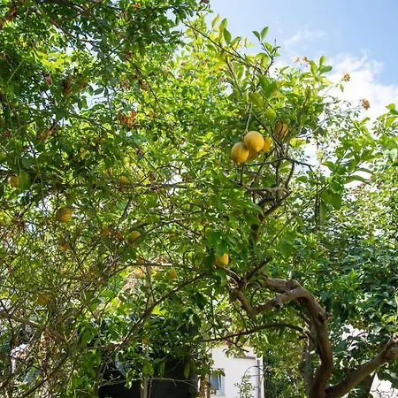 A Casa Di Mario Ischia