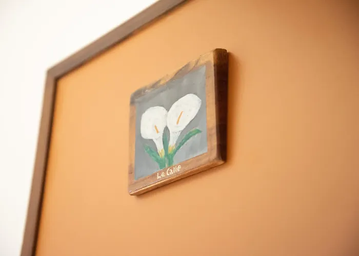 住宿加早餐酒店 梅森二十五住宿加早餐旅馆 4*