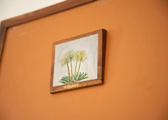 住宿加早餐酒店 梅森二十五住宿加早餐旅馆 伊斯基亚