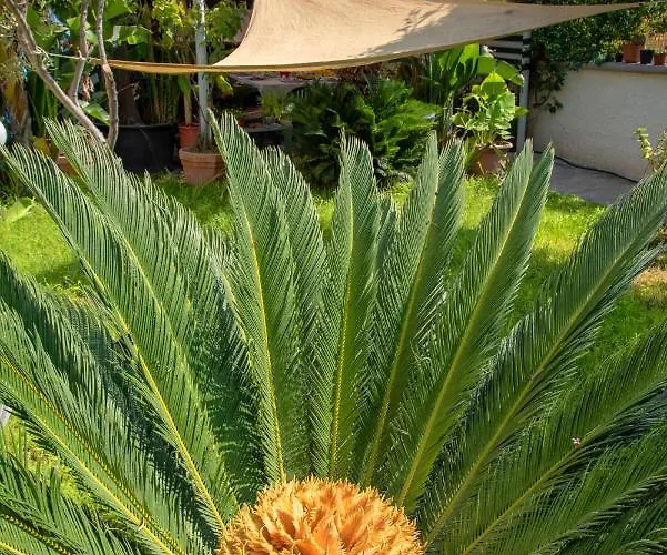 梅森二十五住宿加早餐旅馆 4*