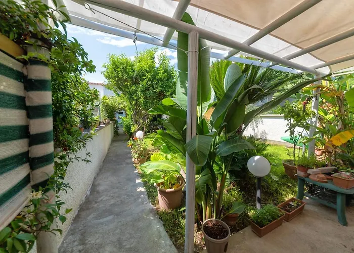 梅森二十五住宿加早餐旅馆 伊斯基亚