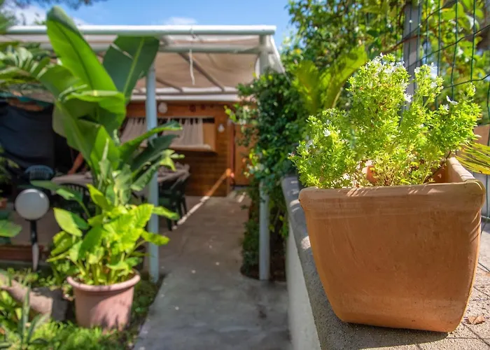 梅森二十五住宿加早餐旅馆 4* 伊斯基亚