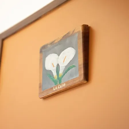 Bed & Breakfast Maison Twentyfive 4*